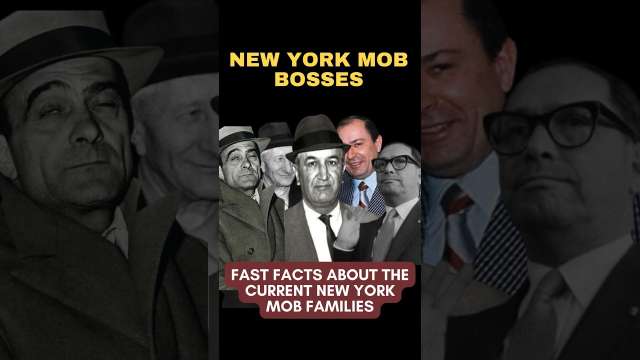 FIVE FAMILIES | Interesting Facts About the New York Mob Families Reveled #gambinofamily